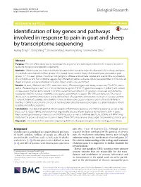 Identification of Key Genes and Pathways Involved in Response To