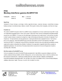 IFNG Monkey Interferon Gamma ELISPOT Kit