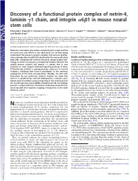 Discovery of a Functional Protein Complex of Netrin-4, Laminin 1 Chain