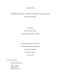 Dissertation Empowering Collaborative Forest