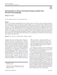 Examining Race in Jamaica: How Racial Category and Skin Color Structure Social Inequality