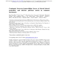 Continuity Between Koniocellular Layers of Dorsal Lateral Geniculate and Inferior Pulvinar Nuclei in Common Marmosets