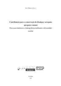 Contribuições Para a Conservação De Bradypus Variegatus (Preguiça Comum) Processos Históricos E Demográficos Moldando a Diversidade Nuclear
