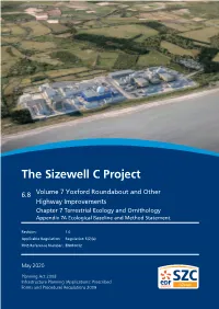 Sizewell C Project Environmental Statement