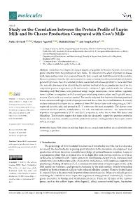 Study on the Correlation Between the Protein Profile of Lupin Milk and Its Cheese Production Compared with Cow's Milk