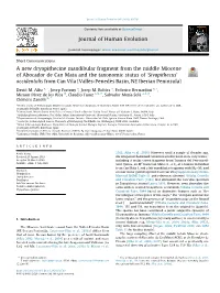 A New Dryopithecine Mandibular Fragment from the Middle Miocene