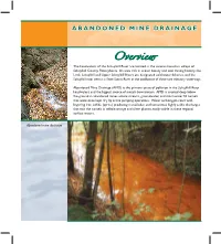 Abandoned Mine Drainage Workgroup Overview