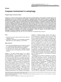 Caspase Involvement in Autophagy