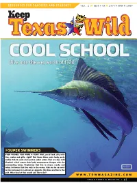 Dive Into the Wet World of Fish!