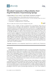 Microbial Community in Hyperalkaline Steel Slag-Fill Emulates Serpentinizing Springs