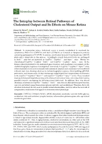 The Interplay Between Retinal Pathways of Cholesterol Output and Its Eﬀects on Mouse Retina