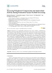 Assessing Polyphenol Components and Antioxidant Activity During Fermented Assam Tea Ball Processing