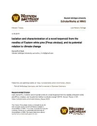 (Pinus Strobus), and Its Potential Relation to Climate Change