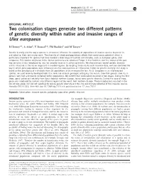 Two Colonisation Stages Generate Two Different Patterns of Genetic Diversity Within Native and Invasive Ranges of Ulex Europaeus