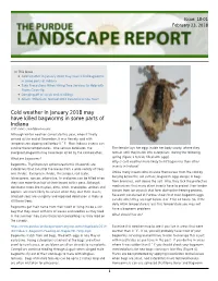 Cold Weather in January 2018 May Have Killed Bagworms in Some Parts