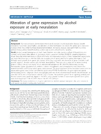 Alteration of Gene Expression by Alcohol Exposure at Early Neurulation