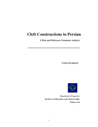 Cleft Constructions in Persian
