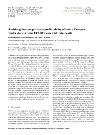 Revisiting the Synoptic-Scale Predictability of Severe European Winter Storms Using ECMWF Ensemble Reforecasts