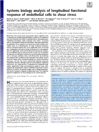 Systems Biology Analysis of Longitudinal Functional Response of Endothelial Cells to Shear Stress