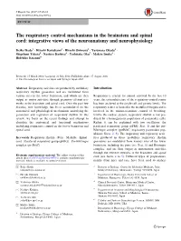 The Respiratory Control Mechanisms in the Brainstem and Spinal Cord: Integrative Views of the Neuroanatomy and Neurophysiology