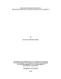 University of Florida Thesis Or Dissertation