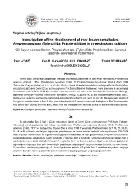 Investigation of the Development of Root Lesion Nematodes, Pratylenchus Spp