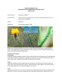 Yellow-Starthistle-WF-Update.Pdf