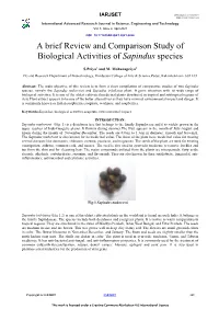 A Brief Review and Comparison Study of Biological Activities of Sapindus Species