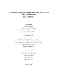 An Assessment of Wildlife-Transportation Issues in the Greater Yellowstone Ecosystem FINAL REPORT