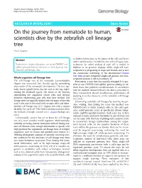 On the Journey from Nematode to Human, Scientists Dive by the Zebrafish Cell Lineage Tree Ehud Shapiro