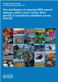 The Distribution of Selected MPA Search Features Within Loch Linnhe