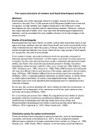 The Macro-Structure of Modern and Fossil Brachiopod Archives Abstract Shells of Brachiopods Chemistry Proxy for Paleo-Environmen