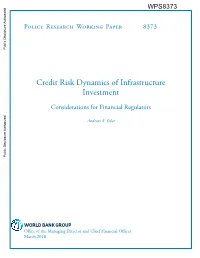 Credit Risk Dynamics of Infrastructure Investment