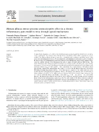 Mansoa Alliacea Extract Presents Antinociceptive Effect in a Chronic