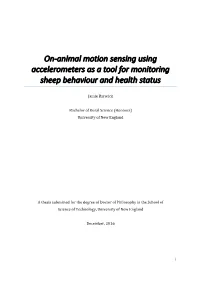 On-Animal Motion Sensing Using Accelerometers As a Tool for Monitoring Sheep Behaviour and Health Status
