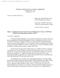 FERC Scoping Document 2