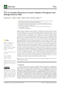 Use of Genomic Resources to Assess Adaptive Divergence and Introgression in Oaks