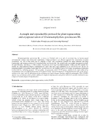 A Simple and Reproducible Protocol for Plant Regeneration and Cryopreservation of Grammatophyllum Specinocum BL