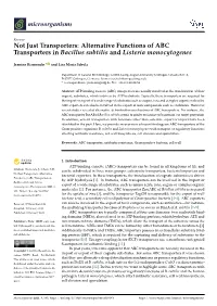 Alternative Functions of ABC Transporters in Bacillus Subtilis and Listeria Monocytogenes