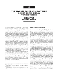 Chapter 6: the Diverse Roles of L-Glutamic Acid in Brain