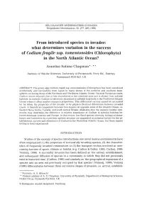 From Introduced Species to Invader: What Determines Variation in the Success of &lt;Emphasis Type="Italic"&gt;Codium F