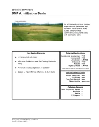Infiltration Basin
