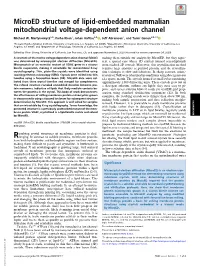 Microed Structure of Lipid-Embedded Mammalian Mitochondrial Voltage-Dependent Anion Channel