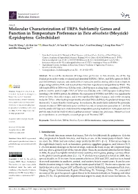 Molecular Characterization of TRPA Subfamily Genes and Function in Temperature Preference in Tuta Absoluta (Meyrick) (Lepidoptera: Gelechiidae)