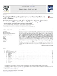Role of Synthetic and Natural Inhibitors