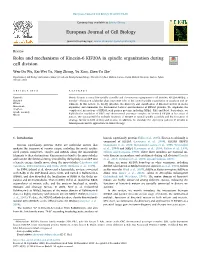Roles and Mechanisms of Kinesin-6 KIF20A in Spindle Organization During Cell Division T ⁎ Wen-Da Wu, Kai-Wei Yu, Ning Zhong, Yu Xiao, Zhen-Yu She