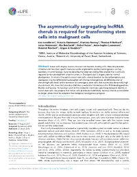The Asymmetrically Segregating Lncrna Cherub Is Required For