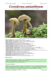 Cystoderma Amianthinum Cystoderma