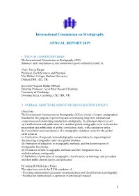 ICS Annual Report 2019