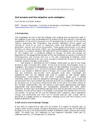 Soil Erosion and the Adaptive Cycle Metaphor